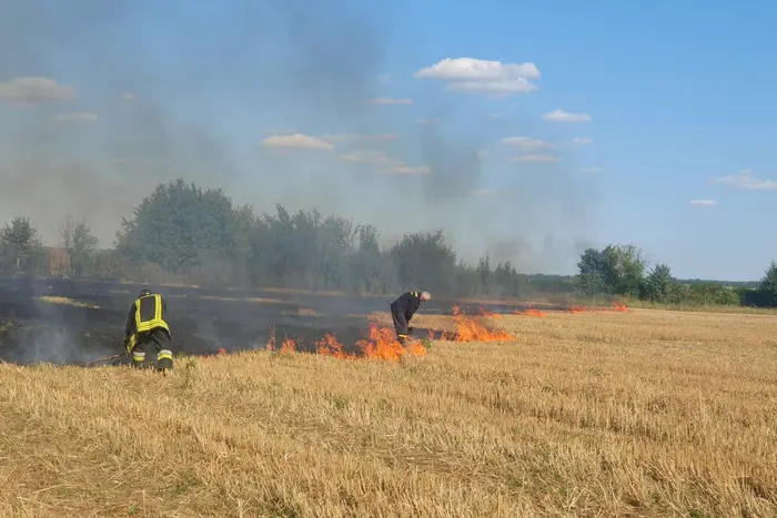На Вінниччині спалахнули десятки гектарів стерні: екологи нагадали про штрафи
