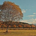 Гороскоп для всіх знаків зодіаку на вихідні 8-9 листопада 2025 року