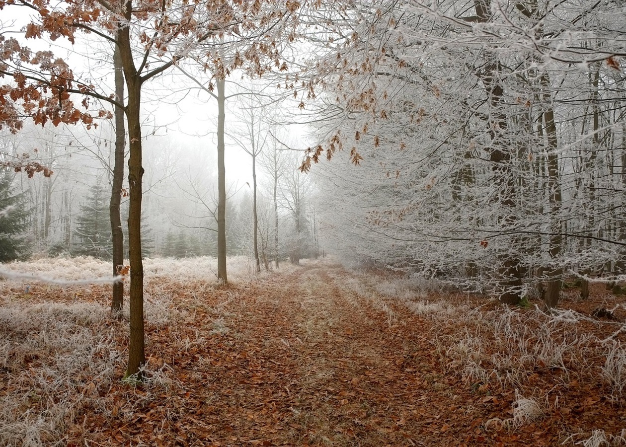 Гороскоп для всіх знаків зодіаку на 19 листопада 2025 року