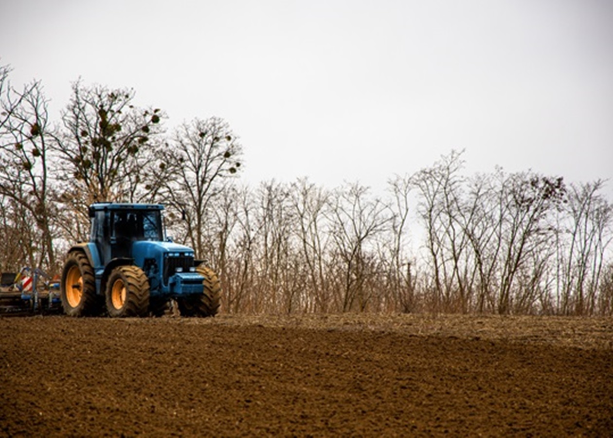 Україна відстає від торішніх темпів сівби на 28%