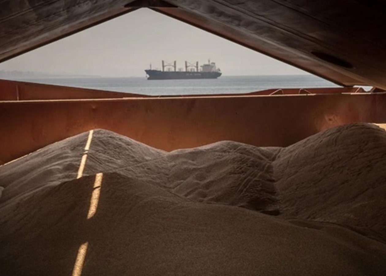 Українська пшениця подорожчала на тлі війни в Ірані